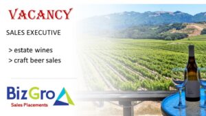 BizGro Sales Placements