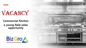 BizGro Sales Placements