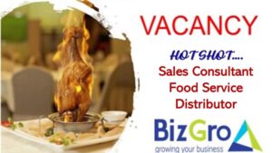 BizGro Sales Placements