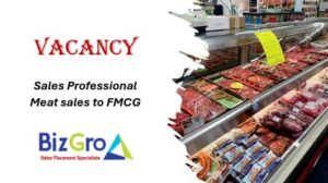 BizGro Sales Placements