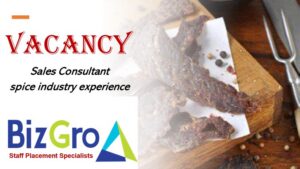 BizGro Sales Placements