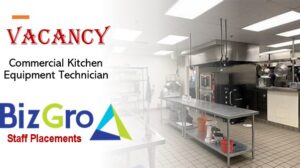 BizGro Placements